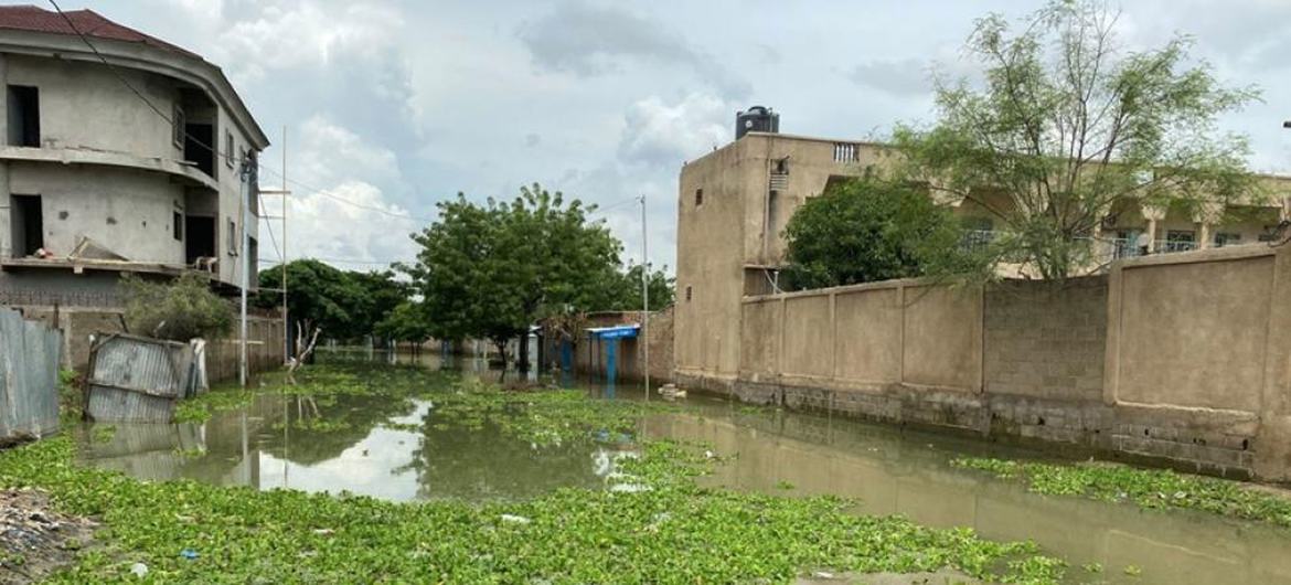 باران شدید در سراسر چاد، پایتخت، نجامنا را زیر آب گرفت.